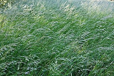 星际拓荒，太空考古？星际探索生存建造游戏《浑天星途》steam商店页正式公开